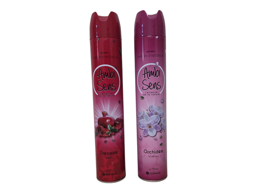 AMBI SENS désodorisant 750ml