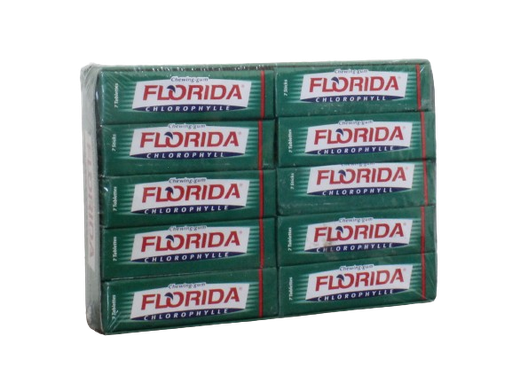 FLORIDA chewing-gum stick