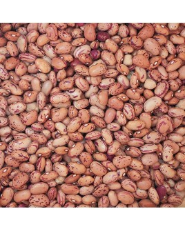 EL BAKAL haricot grine vrac 10kg