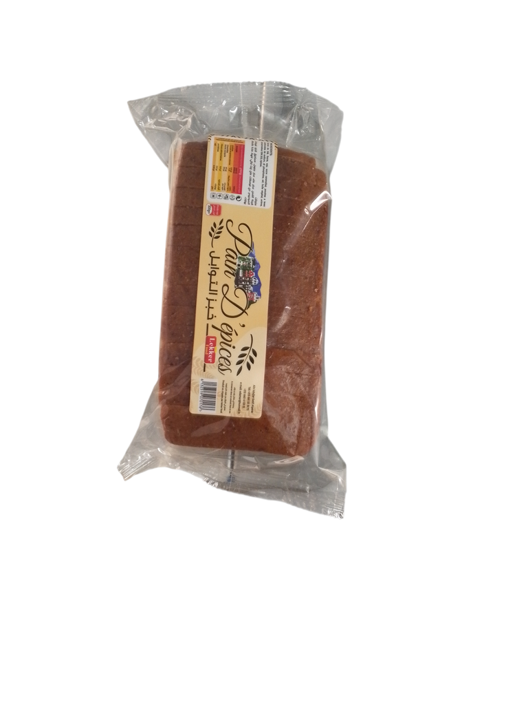 LEKKER FOOD pain d'épice carré 300g