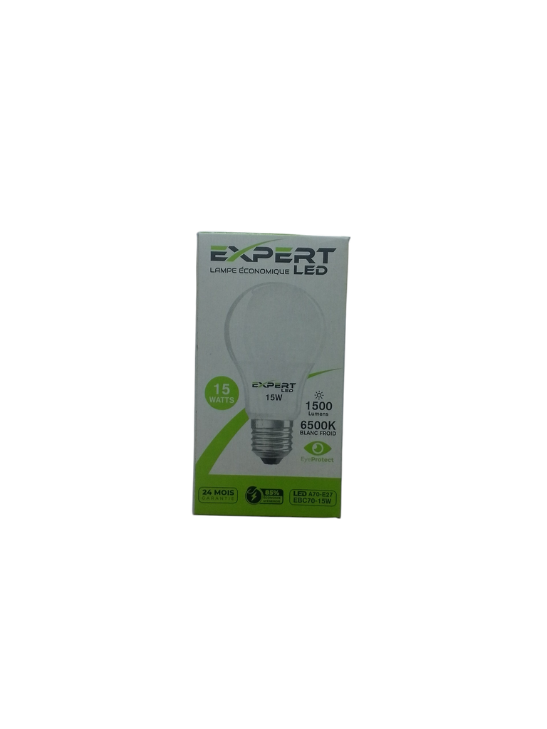 EXPERT lampe LED 15 W