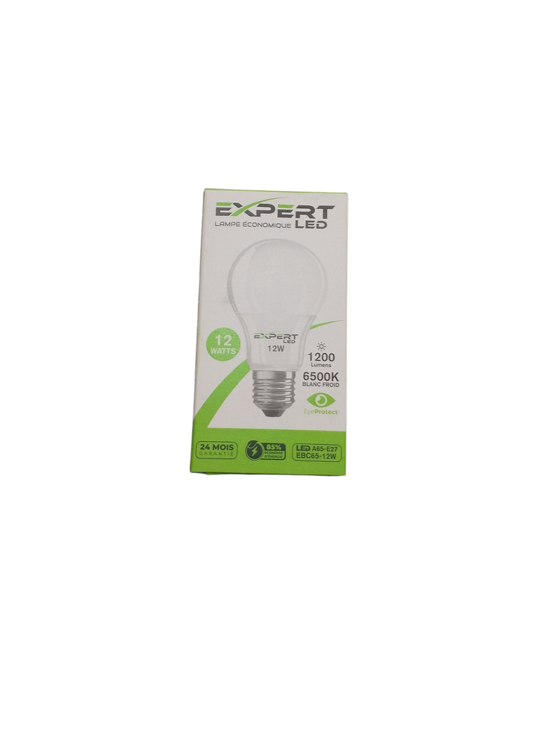 EXPERT lampe LED 12 W
